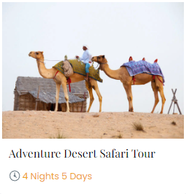 desert tour pagckage